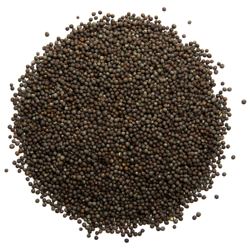 14 Black Mustard Seeds